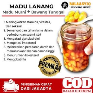 Madu Bawang Tunggal Organik Fermentasi 1 Bulan - Baja BPA Free Single Pack