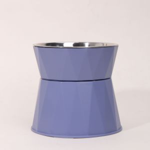 🔥🔥🔥Raised Cat Food Bowls Stainless Steel Elevated Pet Bowl Anti Vomiting for Protecting Spine Durable Nontoxic