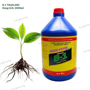 Can 4000ml - Kích rễ Vitamin B-1 Multi Extra Thailand cung cấp dưỡng chất phục hồi rễ yếu cây tốt.