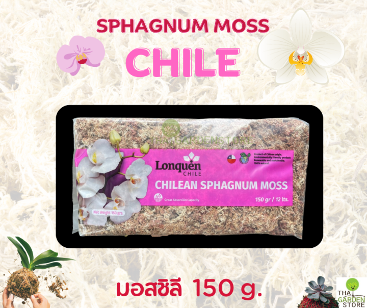 สแฟกนั่มมอสชิลี 150 กรัม ขนาดเล็กสำหรับทดลองใช้และปลูกต้นไม้ขนาดเล็ก