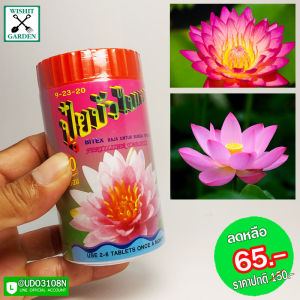 ปุ๋ยบัวไบเทค กระปุก บรรจุ 50 ก้อน สูตร 9-23-20 ปุ๋ยไม้น้ำ ใช้ใส่ไม้น้ำ บัวออกดอกดกโตไว สีสดใส สำหรับคนรักบัว