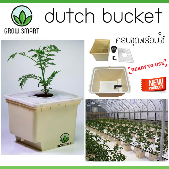 Grow Smart Dutch bucket Bato bucket Drip irrigation recirculating