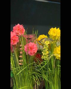 3 x ARTIFICIAL GRASS WITH FLOWER AND BUTTERFLY! Pls let us know the Color that you’re keen on . ( yellow pink or purple)