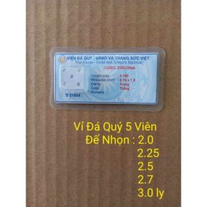 Vỉ 5 Viên Đá Quý - Vỉ Đá Đính Răng Nha Khoa Đế Bằng Và Đế Nhọn