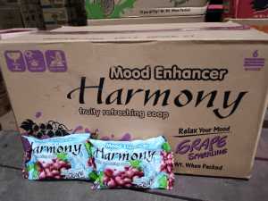Harmony Fruit Soap 70gx72 Carton Indonesia pack
