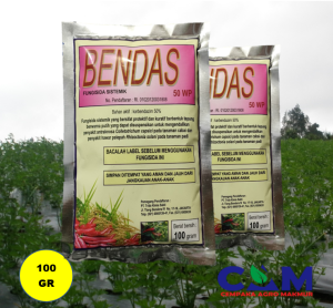 BENDAS 50 WP 100 GR | Fungisda sistemik Karbendasim