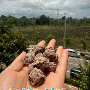 【50g】Dali Yuner Dried Plums – Authentic Sweet & Sour Preserved Fruit 云洱话梅干
