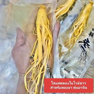 โสมจีน โสมสด โสมภูเขา โสมสดดอง โสมจากภูเขาฉางไป่ สำหรับดองน้ำผึ้ง ดองเสือ 11 ตัว ทำอาหาร ใส่ในซุป ชงชา บดผสมแป้ง กินสด โสมบำรุงร่างกาย บำรุงสุขภาพ