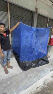 ตั๊กแตน กระชั่ง มูง หนา 24 สูง 180 ขอบ 35 ชั่วโมง เลี้ยง ตั้กแตน คอก ตาข่าย เส้น ตั๊กแตน