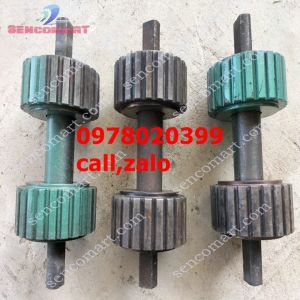 Lô lắp maý ép cám viên s150 trục liền dây co roa