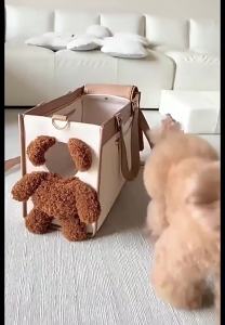 xpkQ Pet bags cute and large-capacitybags for going out. The bear plush dog shoulder bag allows theto show its head K6R8Z