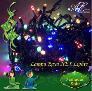 Raya Lights/Lampu Raya/Fancy Lights/LED Lights RGB Light100 Lights/bulbs/10 meters or 100 LEDS (Hex)
