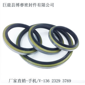 DKB Anti-dust sealing element   Dustproof Oil Seal 65*79*8/11/66*80*8/10 DKB Double Lips NBR Oil Seal