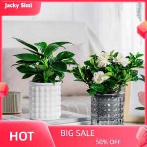 Jacky Mini Self Watering Flower Pot Fish Tank Transparent Plastic Plant Pots Self Watering Planter Pot Vase For Home Decoration