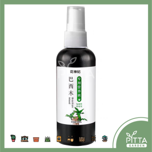 Brazil Wood Fertilizer (100ml) 巴西木专用营养液 (74095)