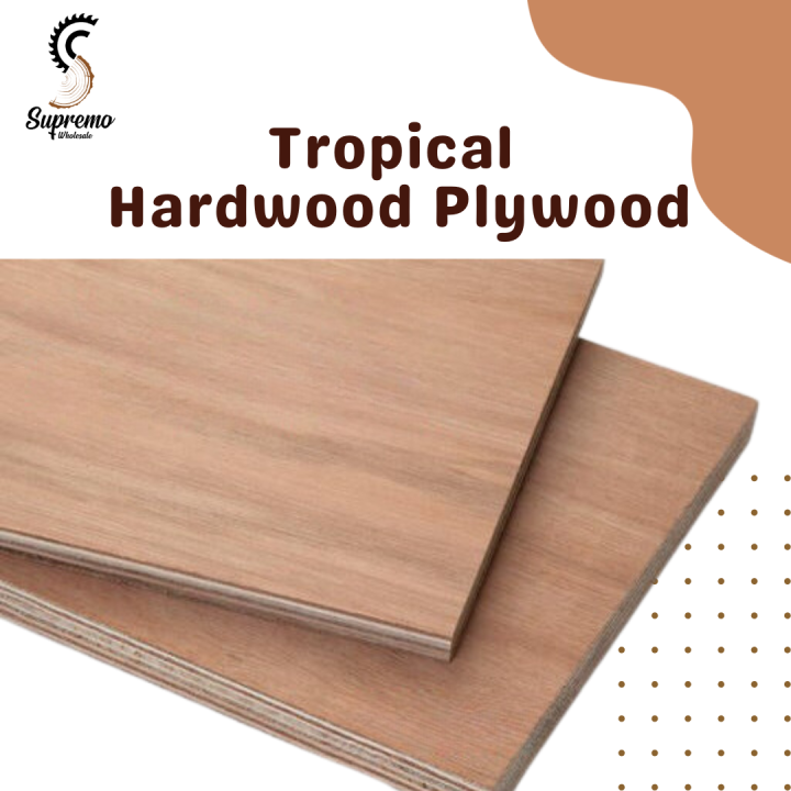 Plywood 9mm Tropical Hardwood Plywood For DIY Comes in sizes A0, A1
