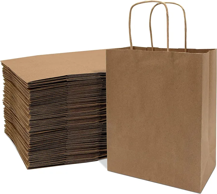 10pcs Kraft Paper Bags, Brown Gift Bags with Handles, Small Craft Shopping  Bags in Bulk for Boutiques, Small Business, Retail Stores, Gifts
