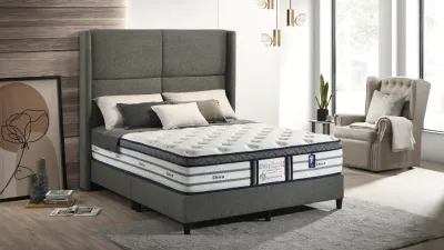 Dreamland Chiro Latex Gel 15-Inches Premium Mira-Coil / Solid Spring Mattress / Mattress / Tilam / Tidur Nap Bed Mattress With 10 Years Warranty