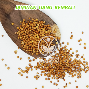 Ketumbar 100gr Tumbar Utuh Super Grade A