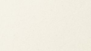 DYMO Authentic LW Large Shipping Labels DYMO Labels for LabelWriter Label Printers Print Up to 6-Line Addresses 2-5/16" x 4" 1 Roll of 300