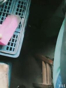 2Pcs Pasta Polishing / Pasta Pengasah / Abrasive Komposit Polishing / Pasta Poles Abrasive