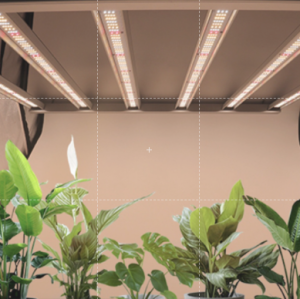 พร้อมส่ง(รับประกัน2ปี)ไฟปลูกกันชา Grow Bars ไฟบาร์ปลูกต้นไม้ ุมีUV+IR640WและTop1000W6บาร์ 8บา 10บา พับได้ชิป Samsung281B