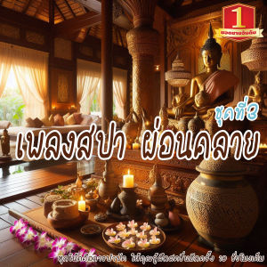 BigT Shop เพลงสปา mp3 (ชุดที่ 3) SPA Music สำหรับร้านนวด เพลงร้านสปา ผ่อนคลาย YJDS134 บำบัดจิตใจคลายเครียด แฟลชไดร์ฟ USb Mp3