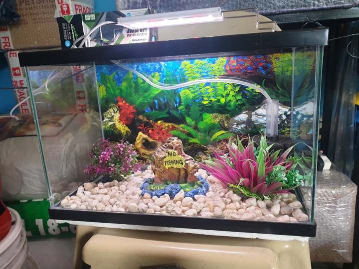 Lazada aquarium store