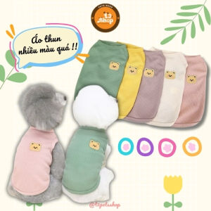 áo thun 5 màu in gấu cho chó mèo - T3 PETS SHOP