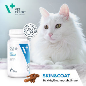 Vet Expert Thực phẩm chức năng Thú cưng