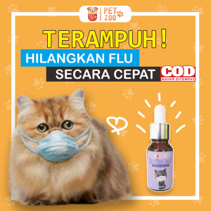 Obat Flu Kucing Flucat Obat Batuk Pilek Bersin Kucing Flu Cat Obat Batuk Kucing Obat Kucing Demam Doxy Cat Coldy Cat Influcat Terbaik Ampuh