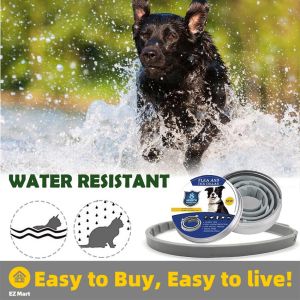 【Fast Shipping】 2021 New 8 Month Flea & Tick Prevention Collar perro for Cats dog harness Mosquitoes Repellent Collar Insect Mosquitoes coleira Iron Box Pet Flea Collar