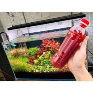 Vi sinh quang hợp PSB rẻ - Vi sinh tươi cho cây cá cảnh Trong nước cá khỏe dễ sinh sản