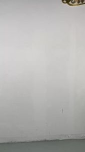 54 inches Long Portable White Cane Lightweight Aluminum Telescoping Blind Walking Stick for The Blind Foldable White Cane