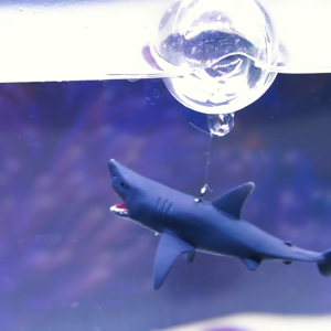 รูปปั้นปลาฉลามแบบลอยน้ำรูปกุ้งภูมิทัศน์สวนขวดปลาปลอมเนื้อละเอียดอ่อนสำหรับตกแต่งที่อยู่อาศัย