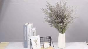 50/100gram Caspia Dried Flower Preserved Dried Flower Bouquet Bunga Kering Hiasan HomeDecor Gift Decoration