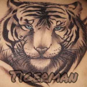 Jaket import pria terbaru