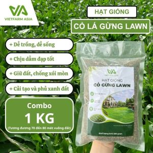 Combo 1Kg Hạt Giống Cỏ Lá Gừng Lawn - Cỏ Lá Tre Dễ Trồng Chống Xói Mòn Giá Thành Tốt