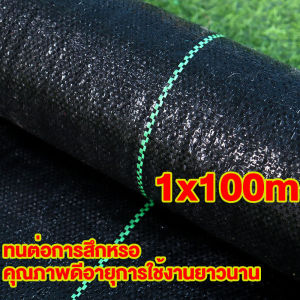 พลาสติกคลุมดิน (ยาว100m) คลุมวัชพืช กำจัดหญ้า ป้องกันรังสีUVหมดปัญหาหญ้าขึ้นกวน พลาสติกคลุมหญ้า พลาสติกคลุมวัชพืช 100 เล็บ เอ็นตัดหญ้า ใบมีดตัด หญ้า