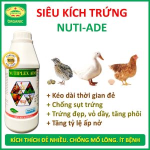 Siêu kích trứng NUTI-ADE dùng cho gà vịt chim cút đẻ - Trứng đẹp vỏ dày tăng phôi - Chống sụt trứng kéo dài thời gian đẻ