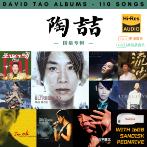 [110首] USB Pendrive Song 音乐USB 陶喆国语专辑 mp3 超高音质 16gb 流畅播放 David Tao Songs 车载音乐