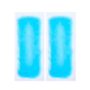 Multifunction Lower Temperature Ice Gel Hydrogel Cooling Patch For Adult Children Mobile Phone Migraine Headache Relieve Pad