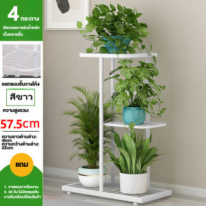 ชั้นวางต้นไม้ กรอบต้นไม้ กระบองเพชร ชั้นวางดอกไม้ ยืนพืช ชั้นวางกระถางต้นไม้เหล็ก ชั้นวางต้นไม้กลางแจ้ง สวยหรู แข็งแรง ไม้หลายแบบในร่มและกลางแจ้ง