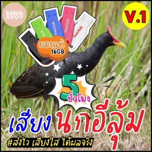 เสียงต่อนกอีลุ้ม นกตูม นกตุ้ม เมมเสียงนกอีลุ้ม แฟลชไดร์ฟเสียงต่อนกอีลุ้ม มีเก็บเงินปลายทาง