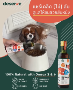 DESERVE น้ำมันปลาแซลมอนแท้ 100% สำหรับสุนัขและแมว บำรุงขนสวย ช่วยให้เจริญอาหาร