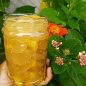 Đác Rim Vị Thơm (Dứa) Dẻo Ngon 1Kg - FreeShip Max - SHOP NGỌC GIÀU THỐT NỐT