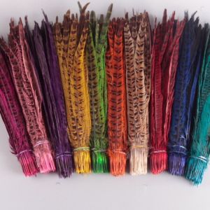 Lông tự nhiên 2 cái