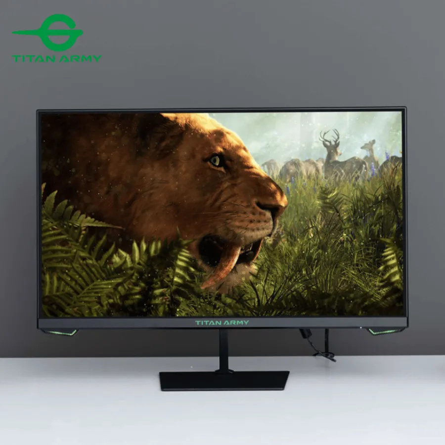 Màn hình Titan Army P24H2G 24inch/FHD/VA/165Hz/HDMI-DP Màn Hình