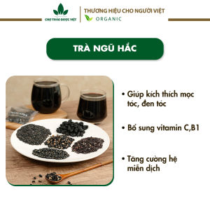 Set 5 gói trà ngũ hắc nguyên liệu đã được rang thơm hỗ trợ mọc tóc thanh lọc cơ thể - Chợ Thảo Dược Việt