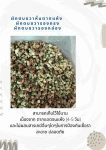 ผักตบชวาหั่น ผักตบชวาตากแห้ง ผักตบชวารองกรงสัตว์เลี้ยง ผักตบชวารองกล่อง ผักตบชวาหั่นท่อน ผักตบชวาแห้ง ผักตบชวาแห้ง1เซน